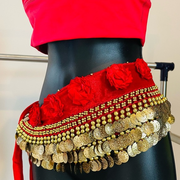 Belly Dance Skirt with Gold Coins and Rose Petals - Picture 9 of 9